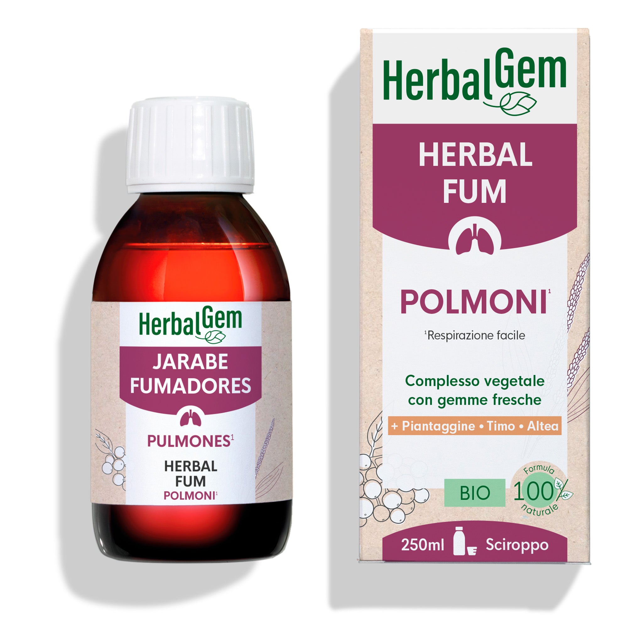 Herbal Fum Vie respiratorie - Bio