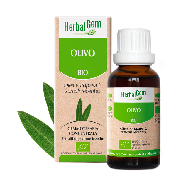 350235-olivo-herbalgem-50ml-it24-5425009099322-01.jpg