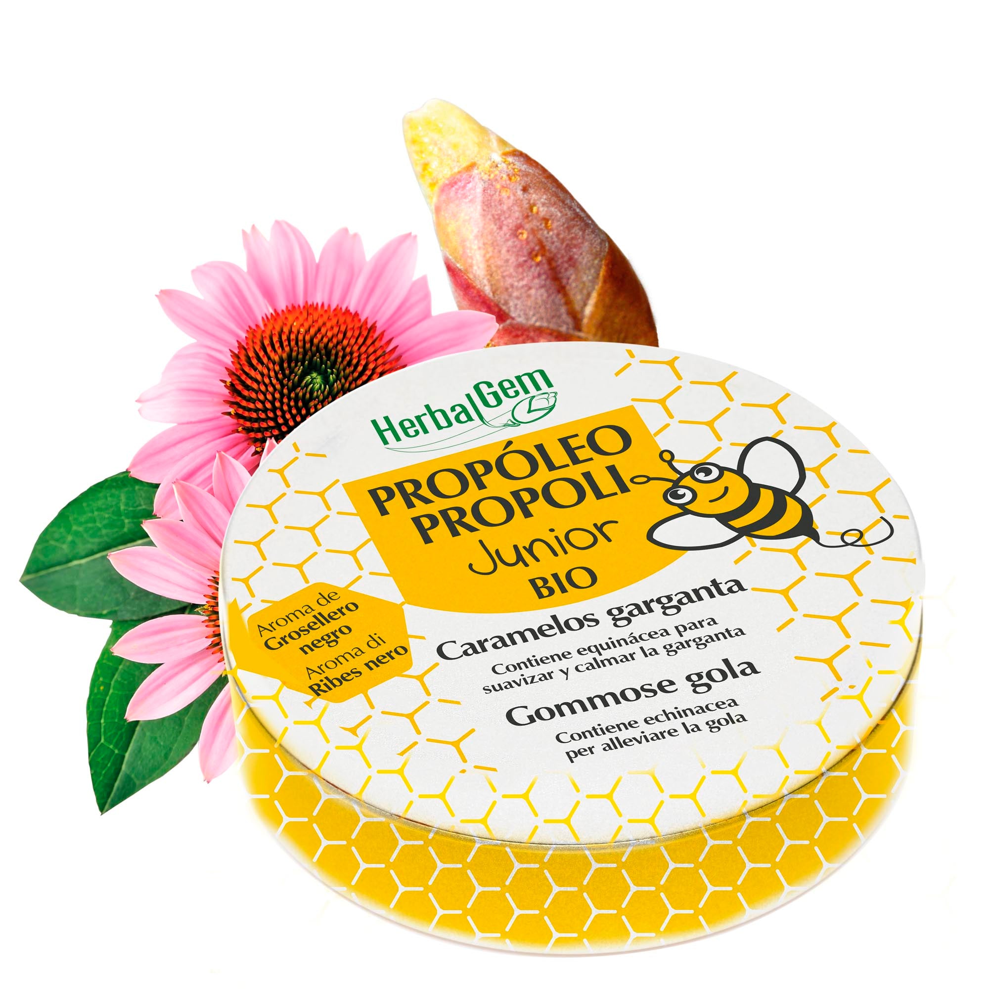 Propoli - Junio - Gommose gola - Bio