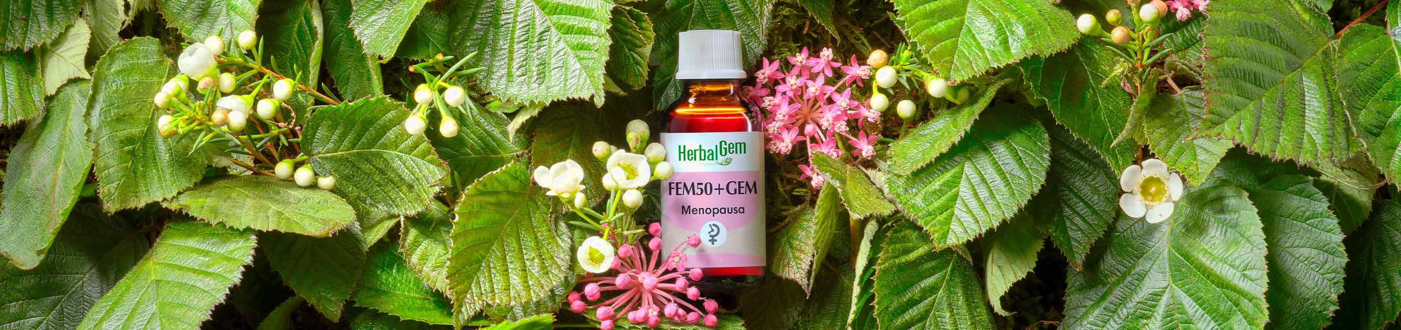 Benessere femminile