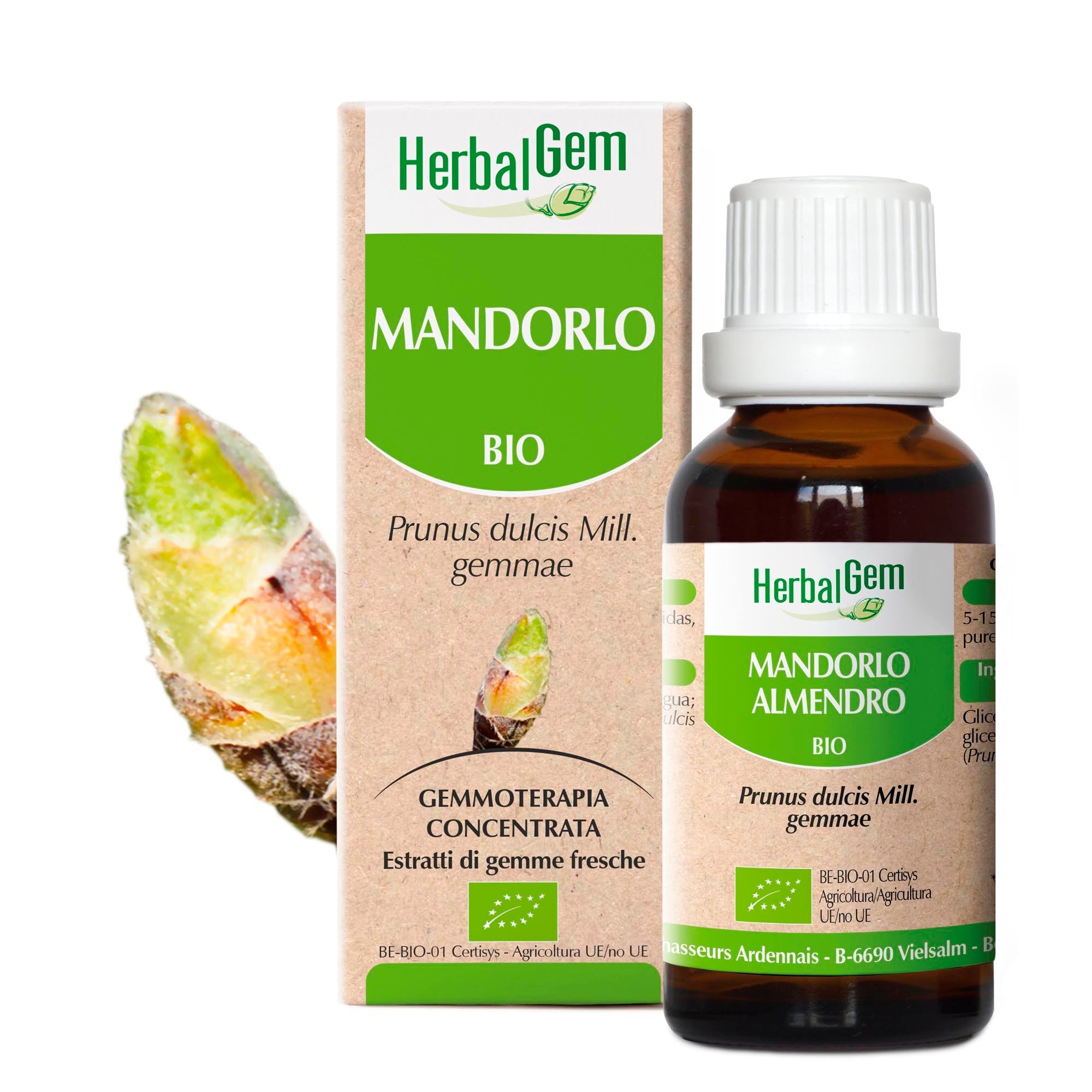 MANDORLO - Bio