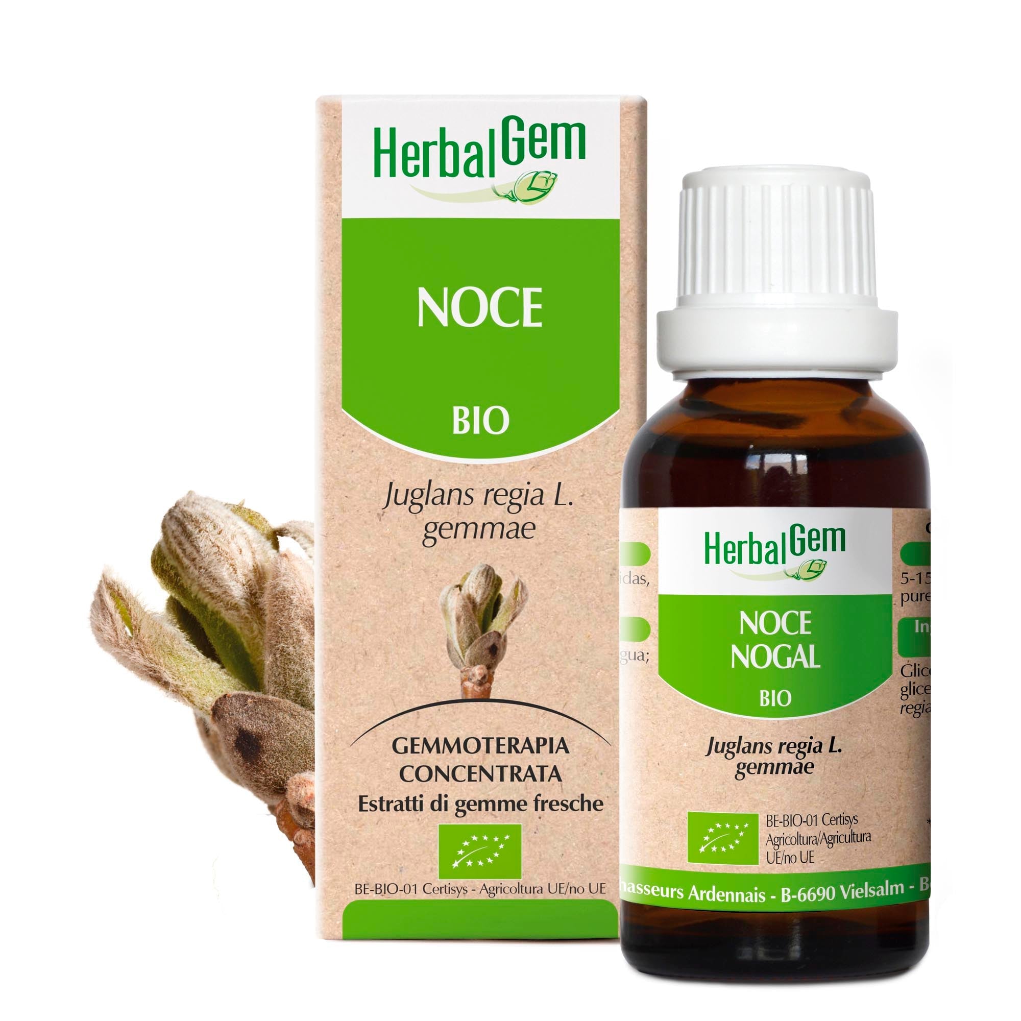 NOCE - Bio