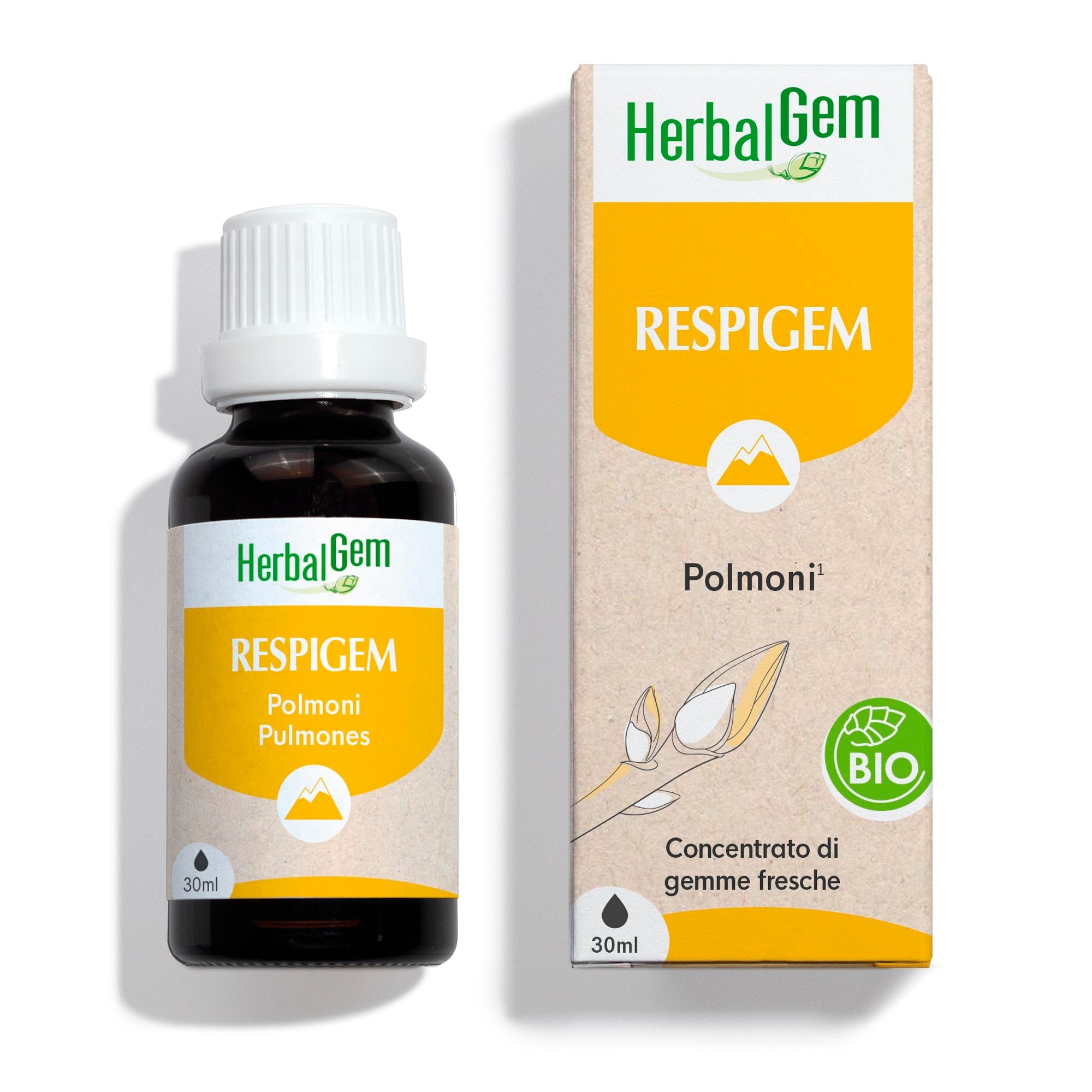 RESPIGEM - Bio