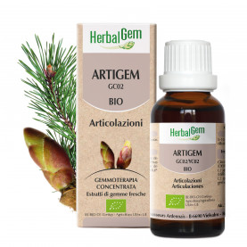 ARTIGEM - 50 ml | Herbalgem