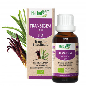 Transigem - 50 ml | Herbalgem