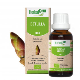 BETULLA - 15 ml | Herbalgem