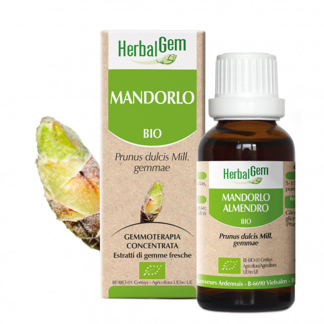 MANDORLO - 15 ml | Herbalgem