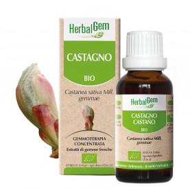 CASTAGNO - 15 ml | Herbalgem
