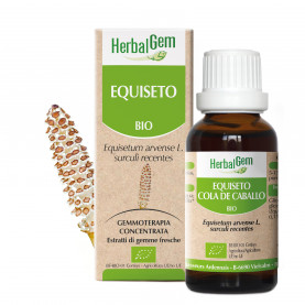 EQUISETO - 15 ml | Herbalgem