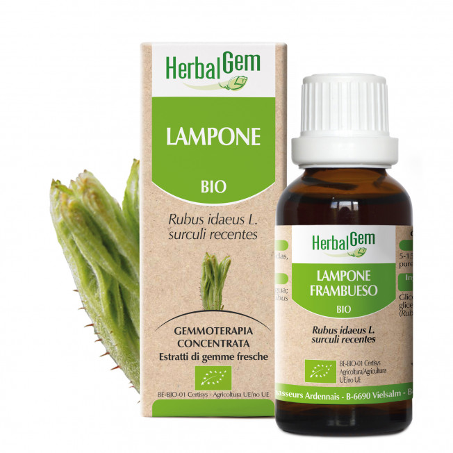 LAMPONE - 15 ml | Herbalgem