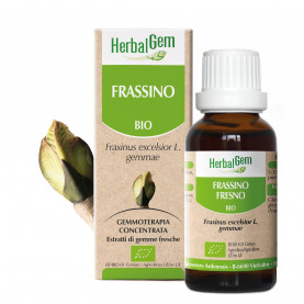 FRASSINO - 15 ml | Herbalgem