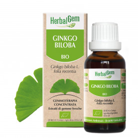 GINKGO BILOBA - 15 ml | Herbalgem