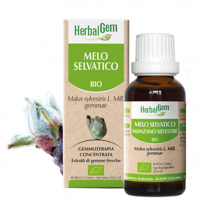 MELO SELVATICO - 15 ml | Herbalgem