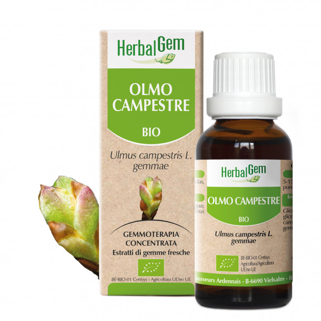 OLMO CAMPESTRE - 15 ml | Herbalgem