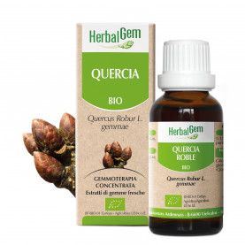 QUERCIA - 15 ml | Herbalgem