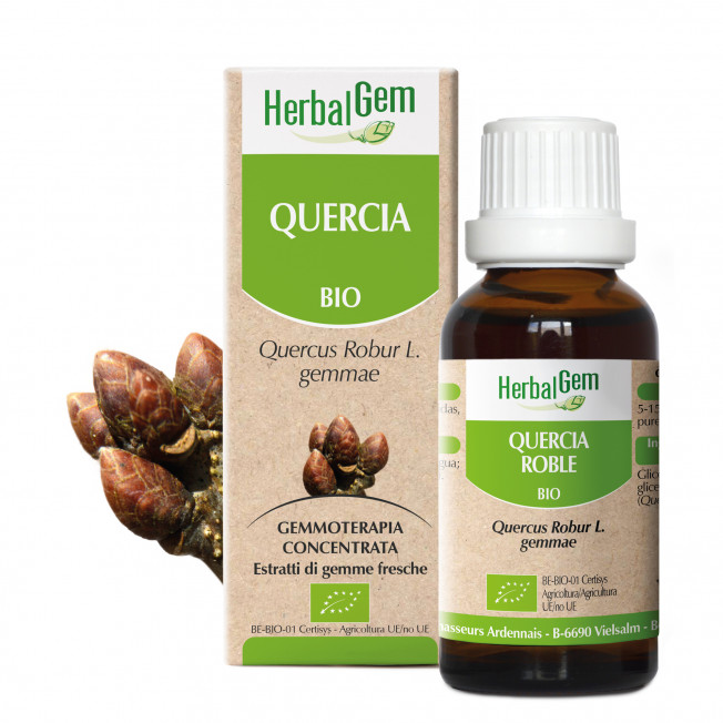 QUERCIA - 15 ml | Herbalgem