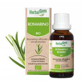 ROSMARINO - 15 ml | Herbalgem