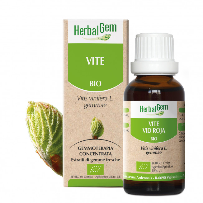 VITE - 15 ml | Herbalgem