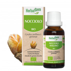 NOCCIOLO - 50 ml | Herbalgem