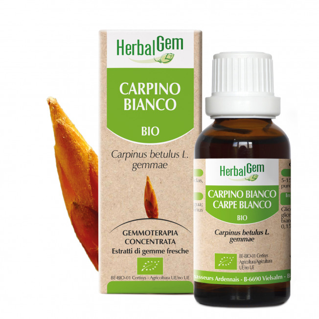 CARPINO BLANCO - 50 ml | Herbalgem