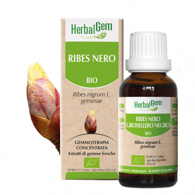 RIBES NERO - 50 ml | Herbalgem