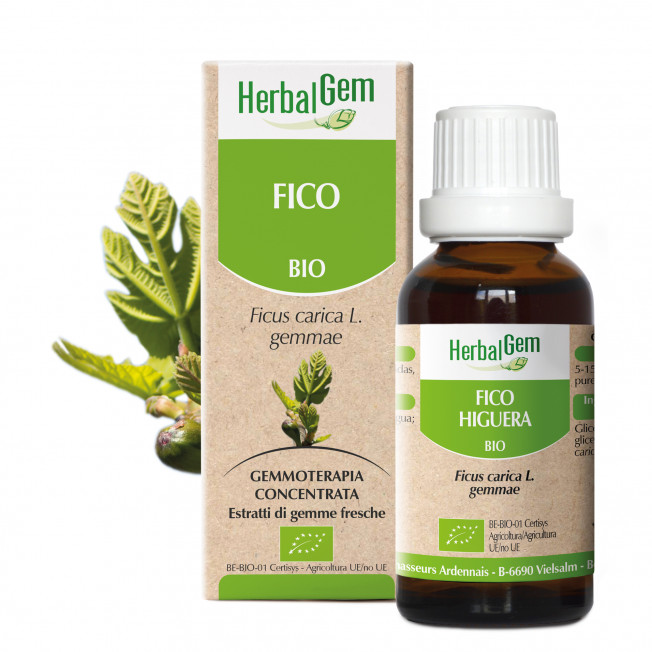 FICO - 50 ml | Herbalgem