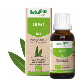 OLIVO - 50 ml | Herbalgem