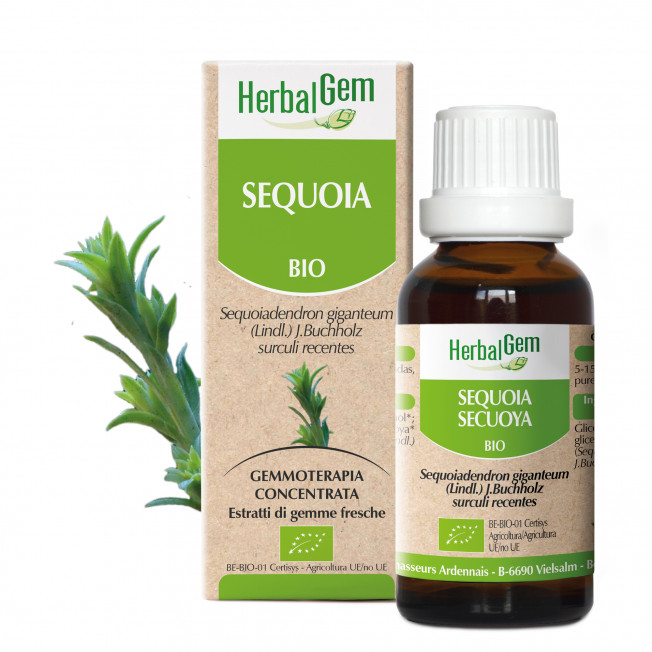SEQUOIA - 50 ml | Herbalgem