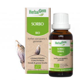 SORBO - 50 ml | Herbalgem