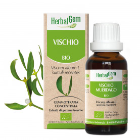 VISCHIO - 50 ml | Herbalgem