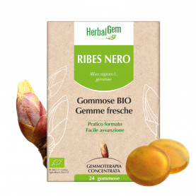 RIBES NERO - 24 gommose | Herbalgem