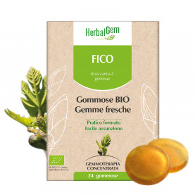 FICO - 24 gommose | Herbalgem