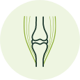 HerbalGem - Campi di applicazione articolazioni e muscoli
