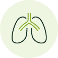 HerbalGem - Campi di applicazione respirazione